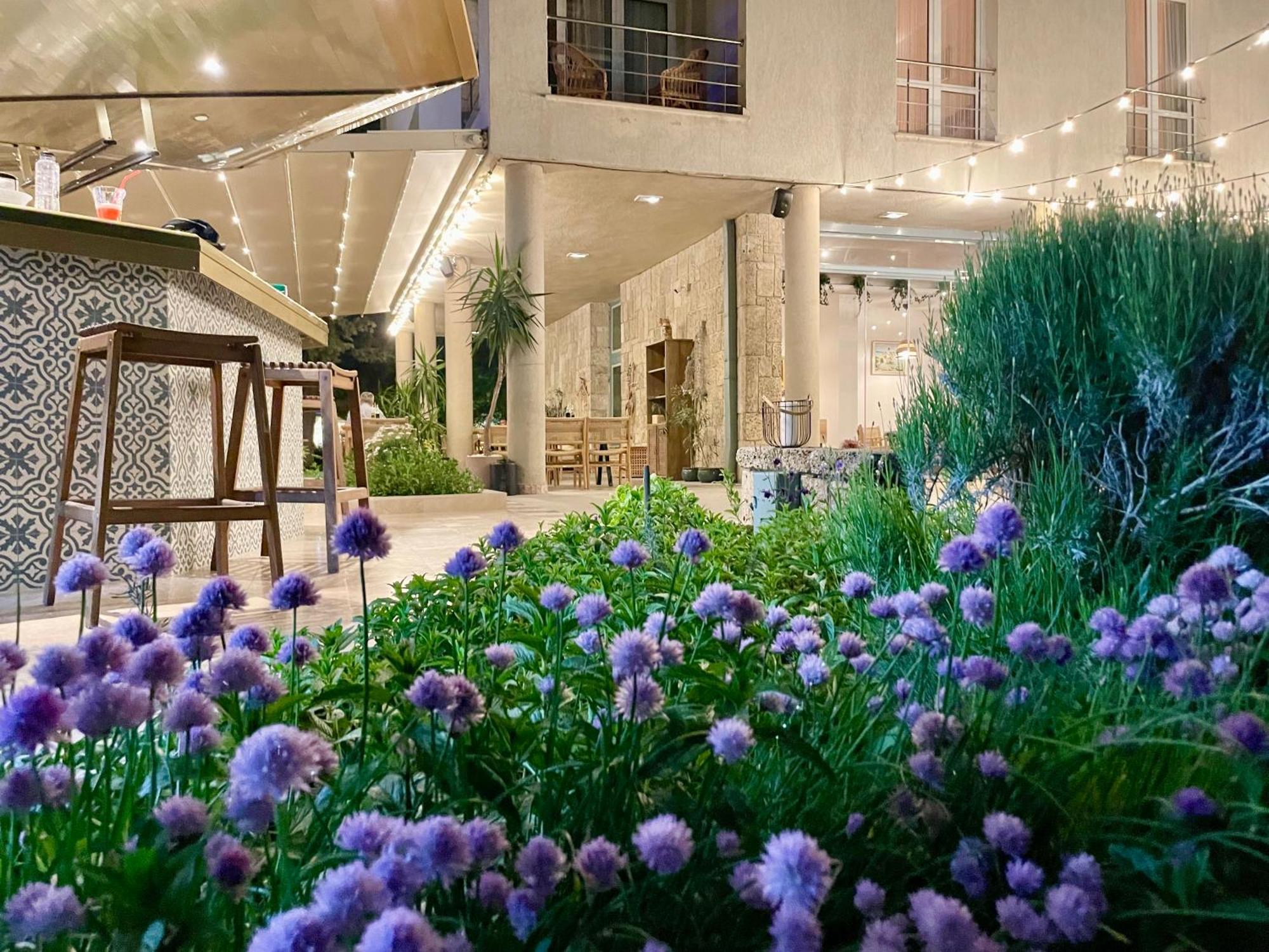 Carmen Hotel 3*